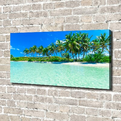 Tableau sur toile Plage exotique eau bleue