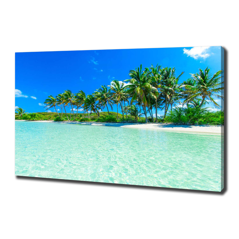 Tableau sur toile Plage exotique eau bleue