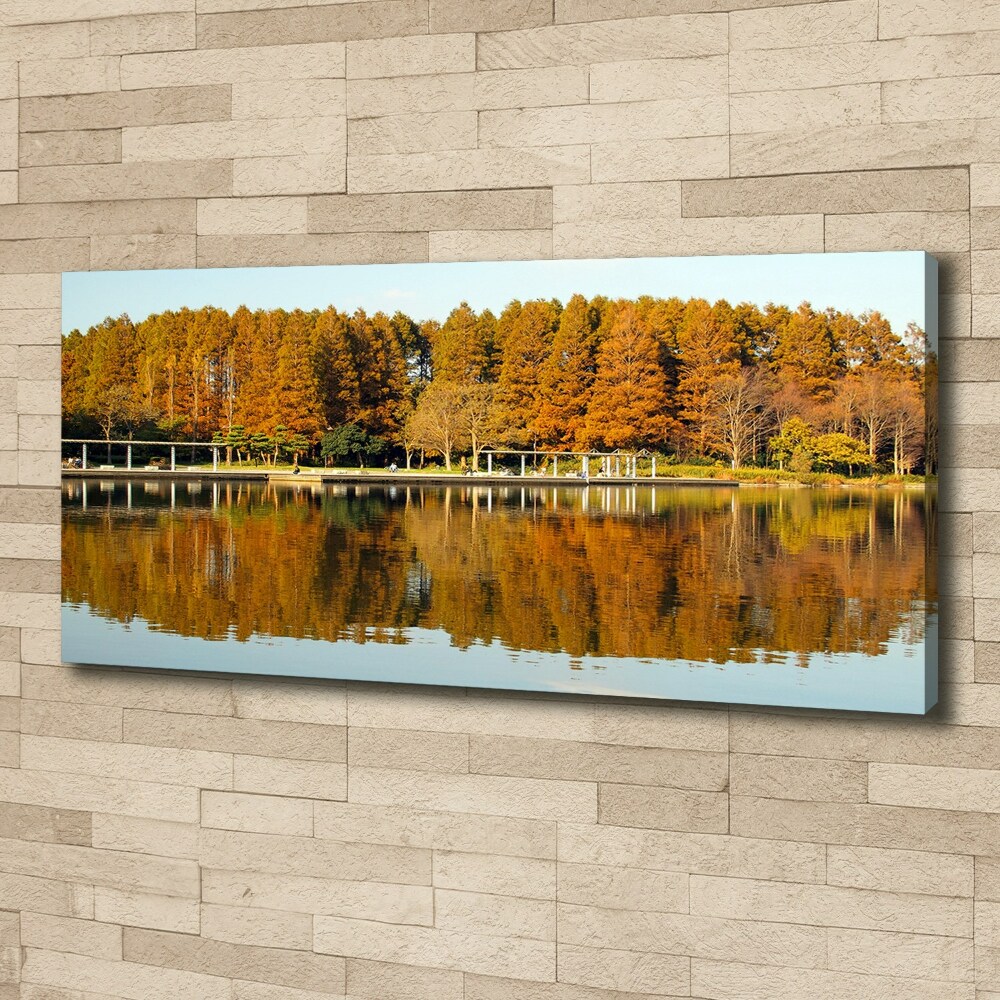 Tableau imprimé sur toile Forêt de bord de lac