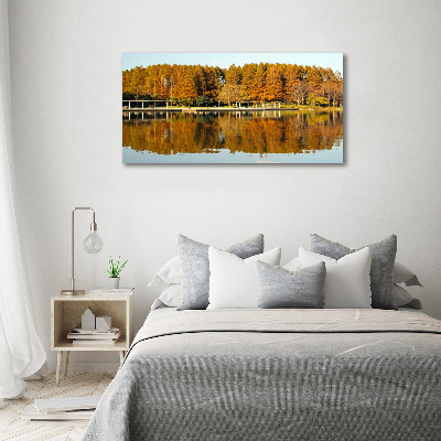 Tableau imprimé sur toile Forêt de bord de lac