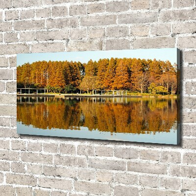 Tableau imprimé sur toile Forêt de bord de lac