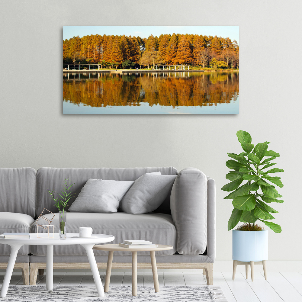 Tableau imprimé sur toile Forêt de bord de lac