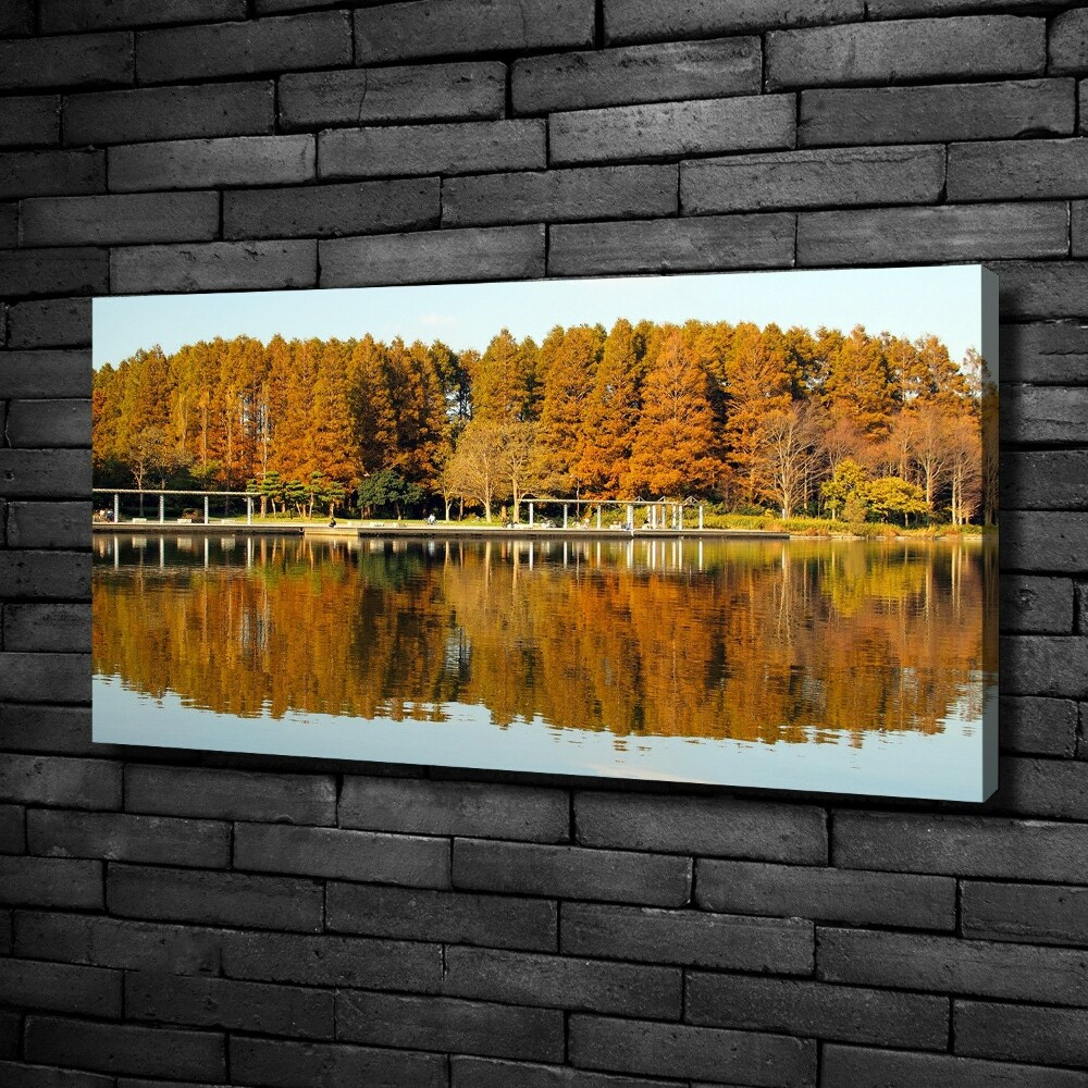 Tableau imprimé sur toile Forêt de bord de lac