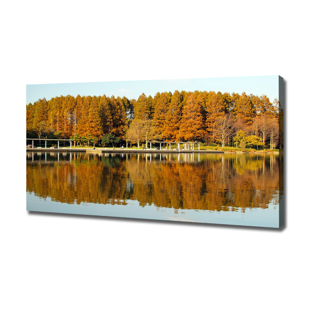 Tableau imprimé sur toile Forêt de bord de lac