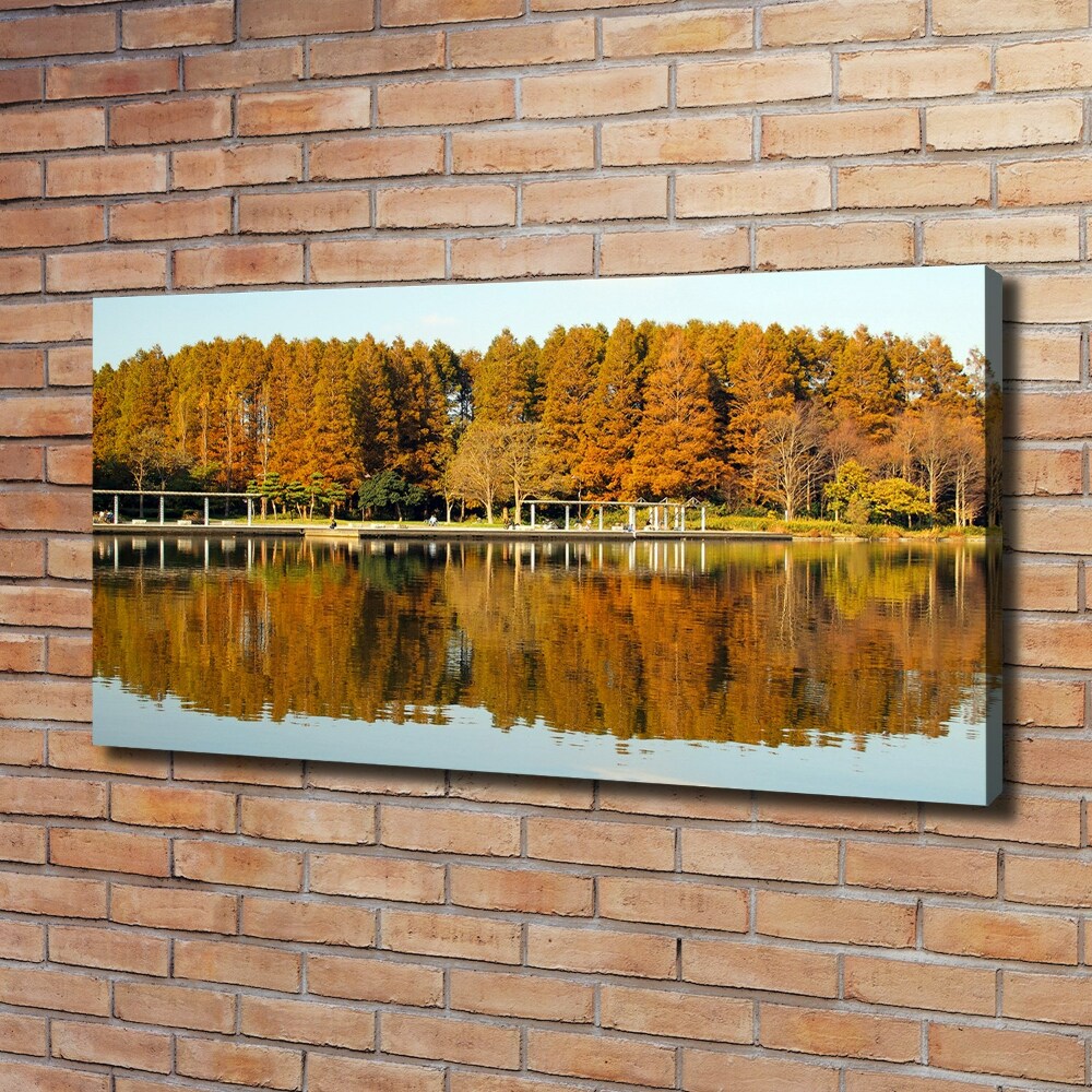 Tableau imprimé sur toile Forêt de bord de lac