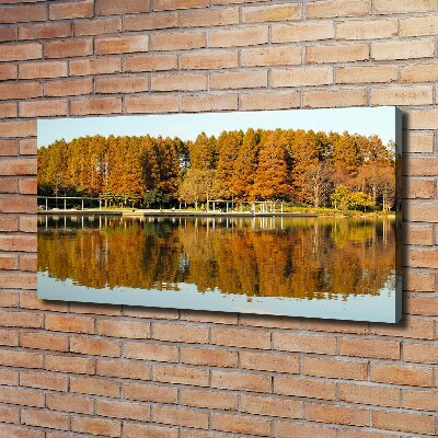 Tableau imprimé sur toile Forêt de bord de lac