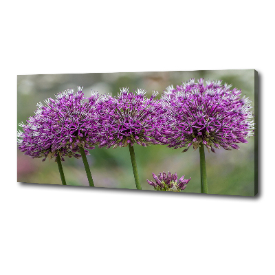 Tableau photo sur toile Fleur d'ail