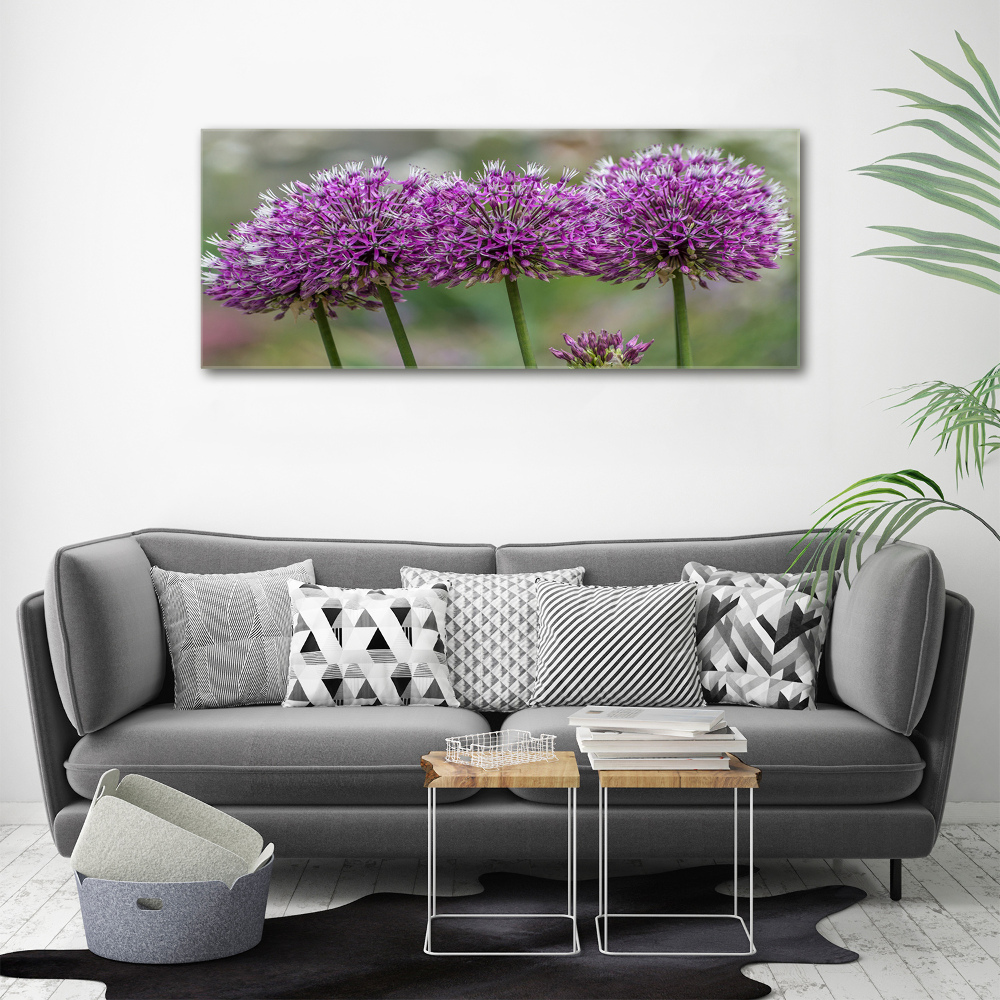 Tableau photo sur toile Fleur d'ail