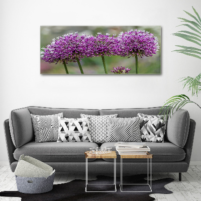 Tableau photo sur toile Fleur d'ail