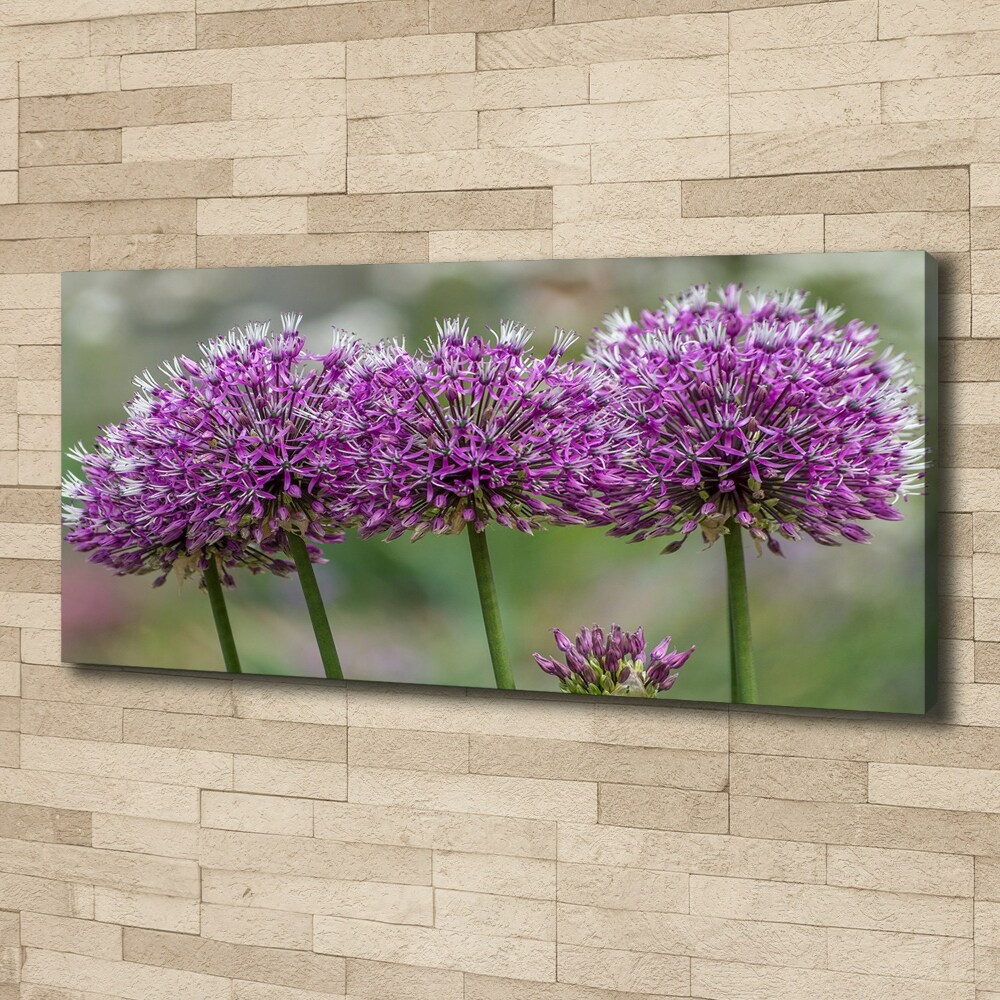 Tableau photo sur toile Fleur d'ail