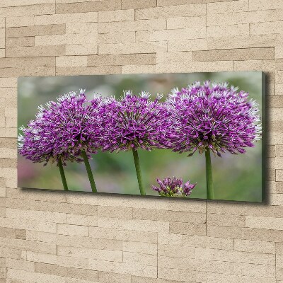 Tableau photo sur toile Fleur d'ail