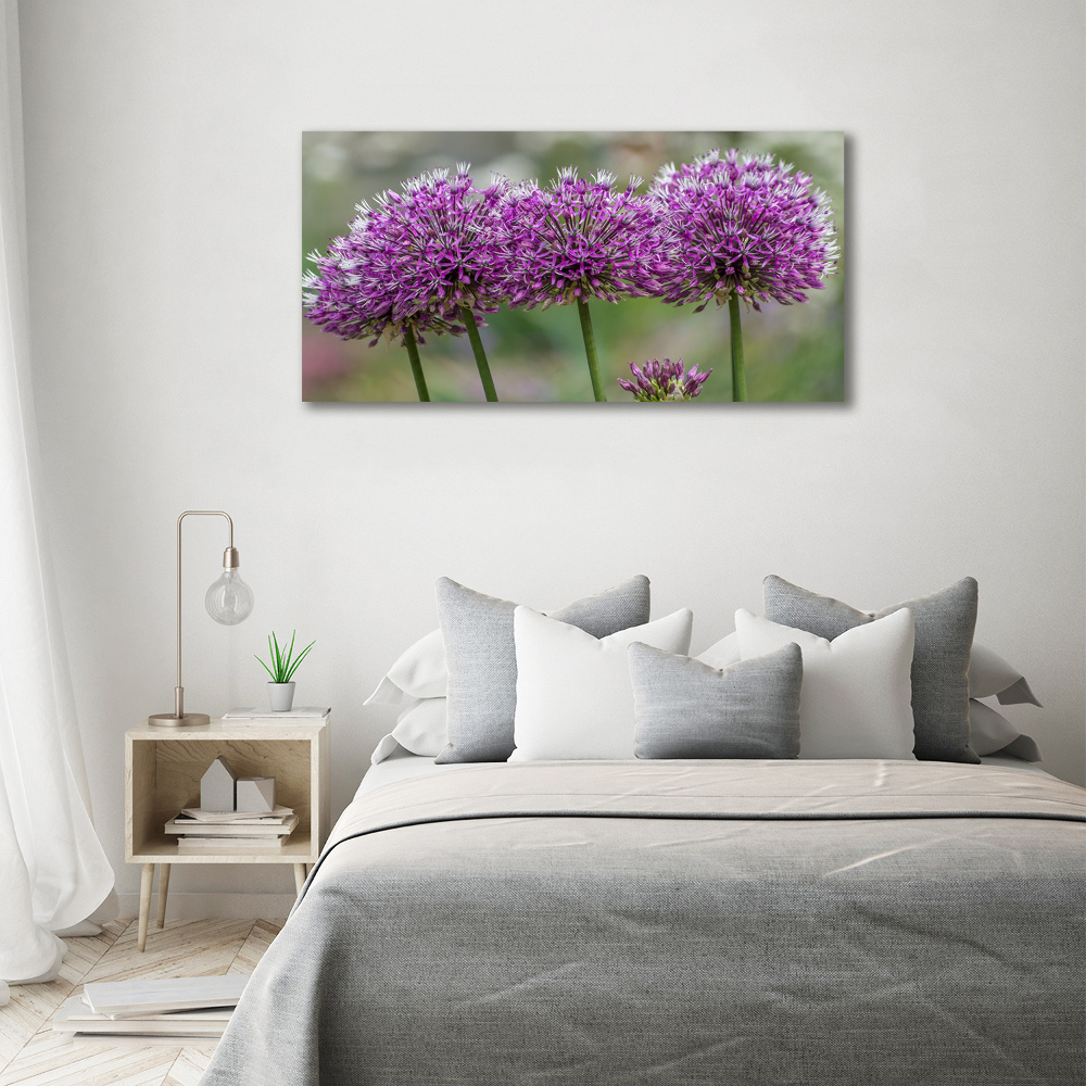 Tableau photo sur toile Fleur d'ail