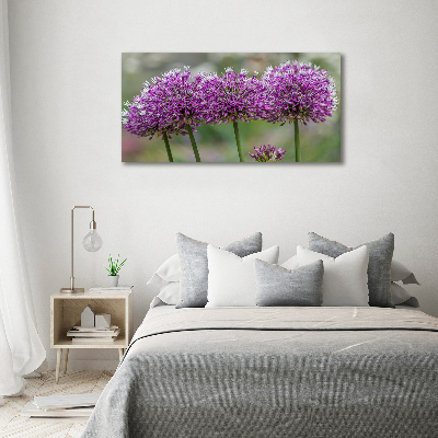 Tableau photo sur toile Fleur d'ail