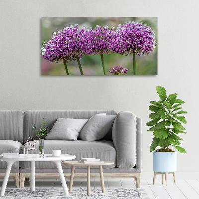 Tableau photo sur toile Fleur d'ail