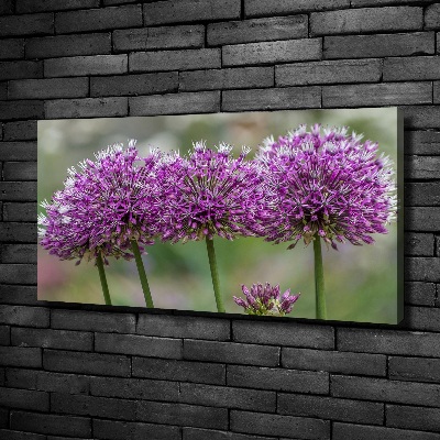 Tableau photo sur toile Fleur d'ail