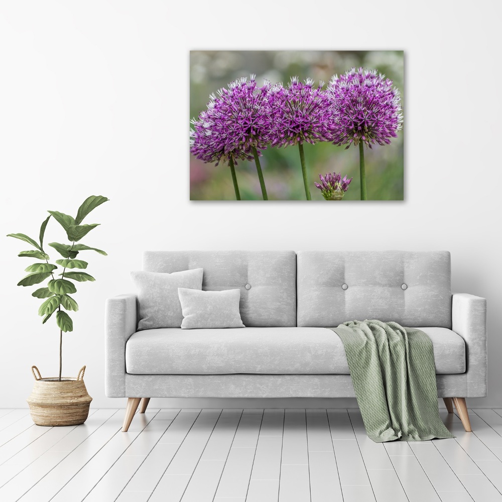 Tableau photo sur toile Fleur d'ail