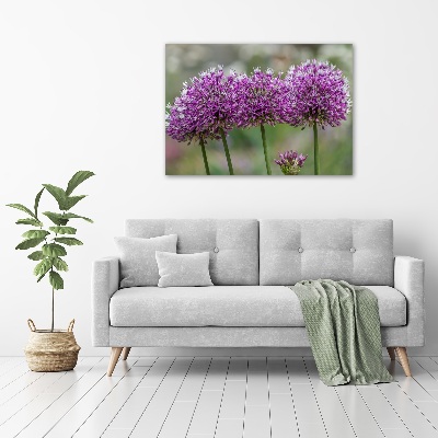 Tableau photo sur toile Fleur d'ail