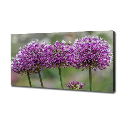 Tableau photo sur toile Fleur d'ail