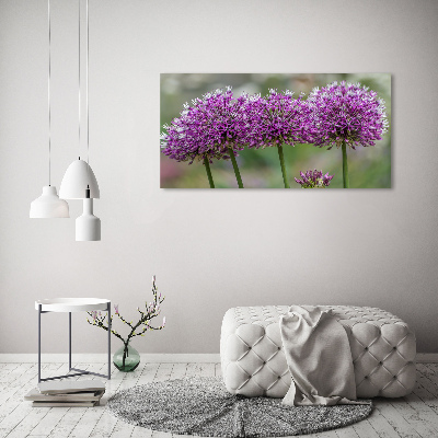 Tableau photo sur toile Fleur d'ail