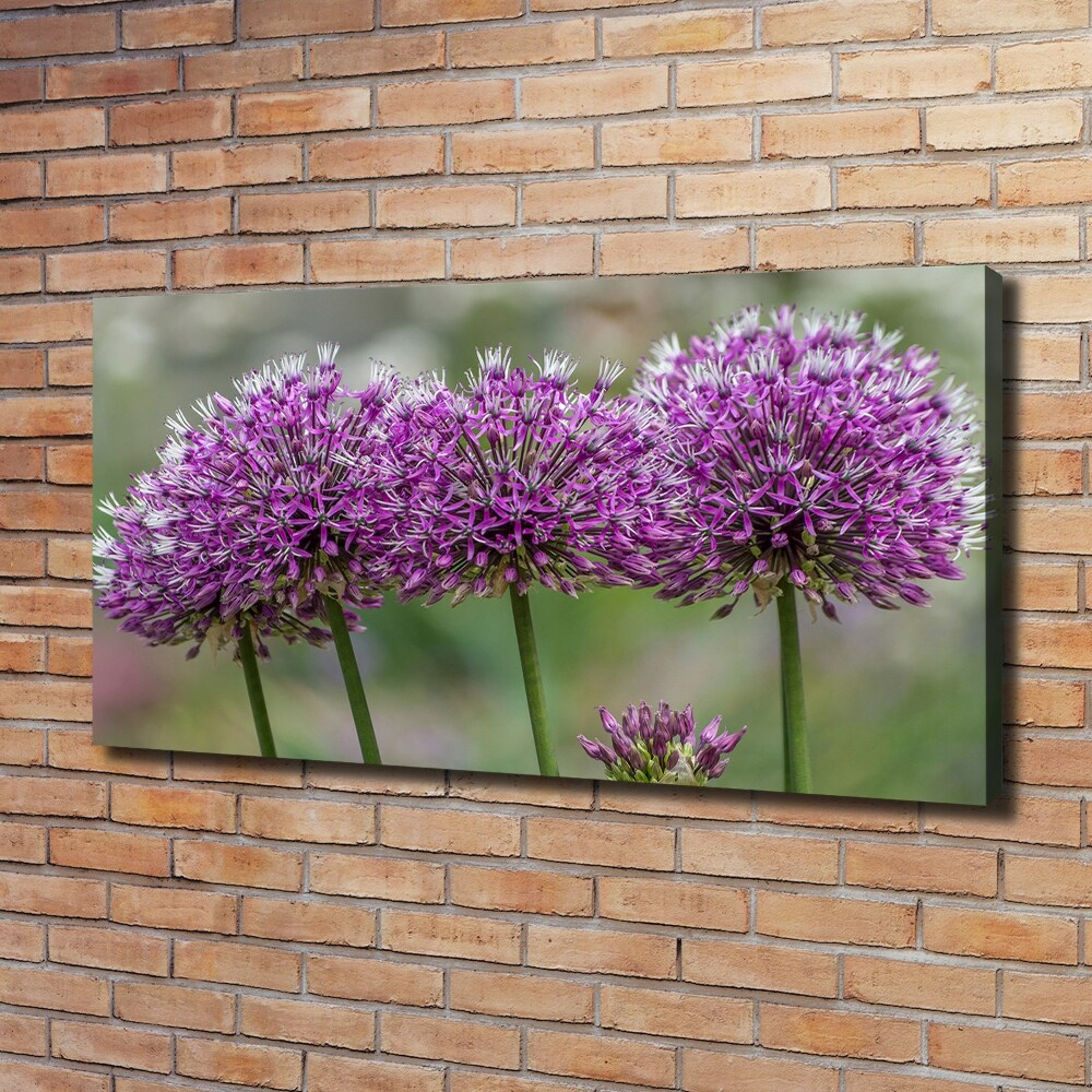 Tableau photo sur toile Fleur d'ail