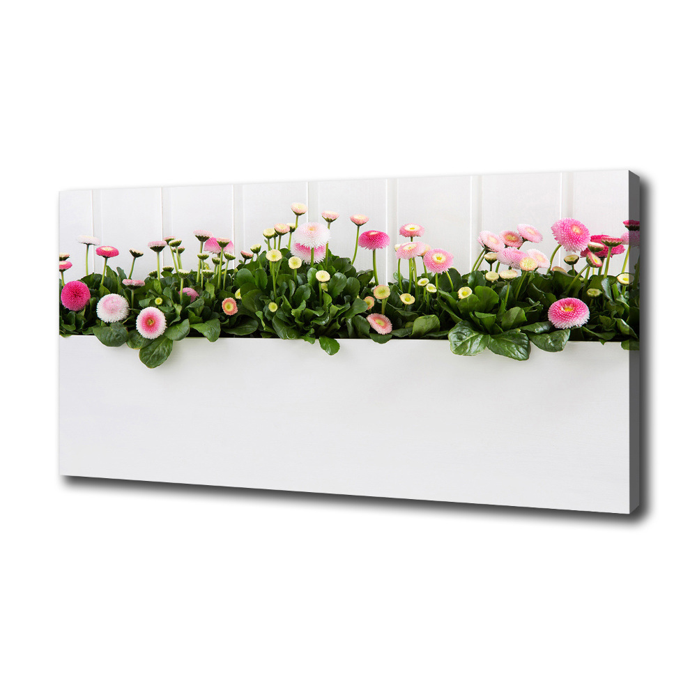 Tableau mural sur toile Marguerites roses