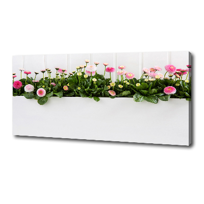 Tableau mural sur toile Marguerites roses