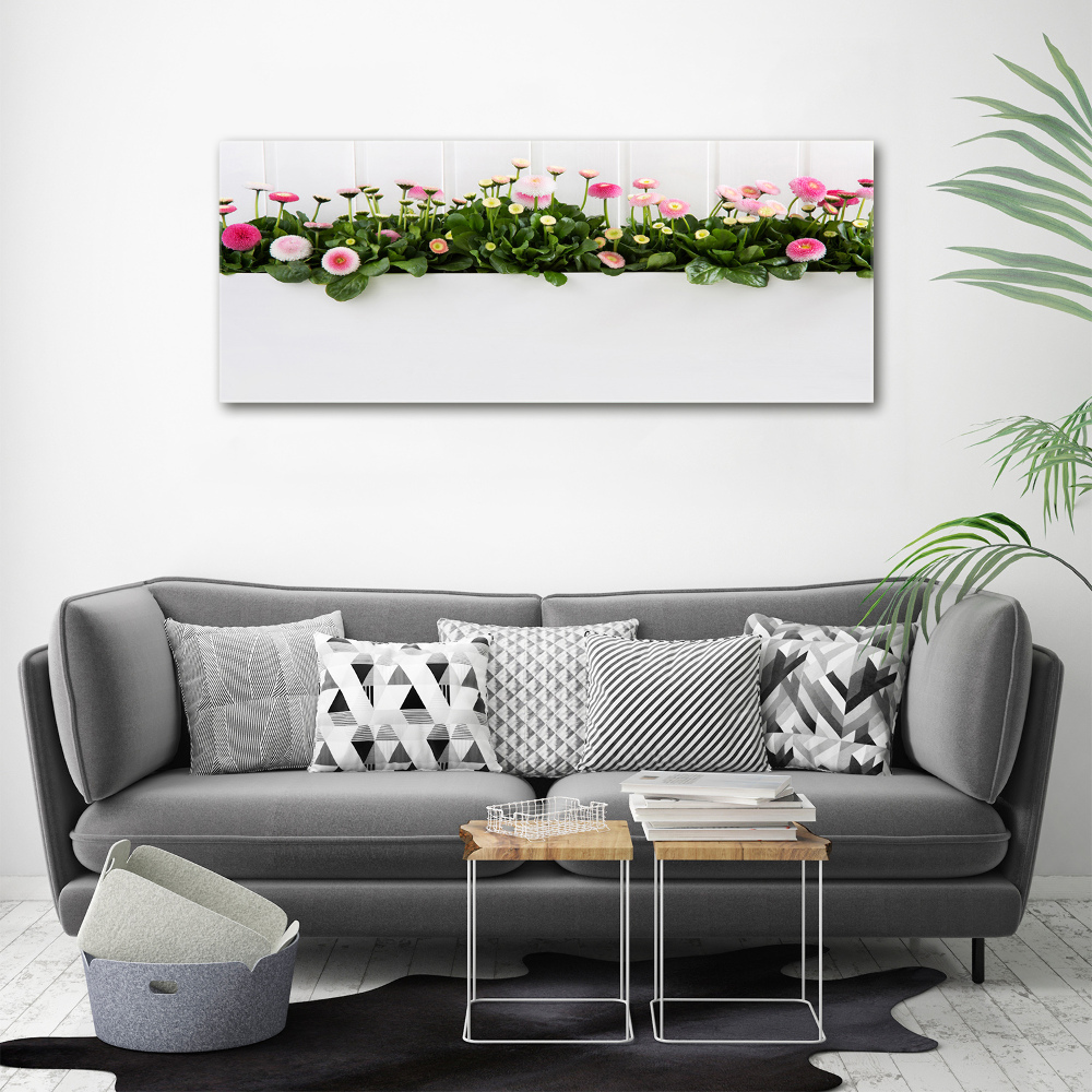 Tableau mural sur toile Marguerites roses