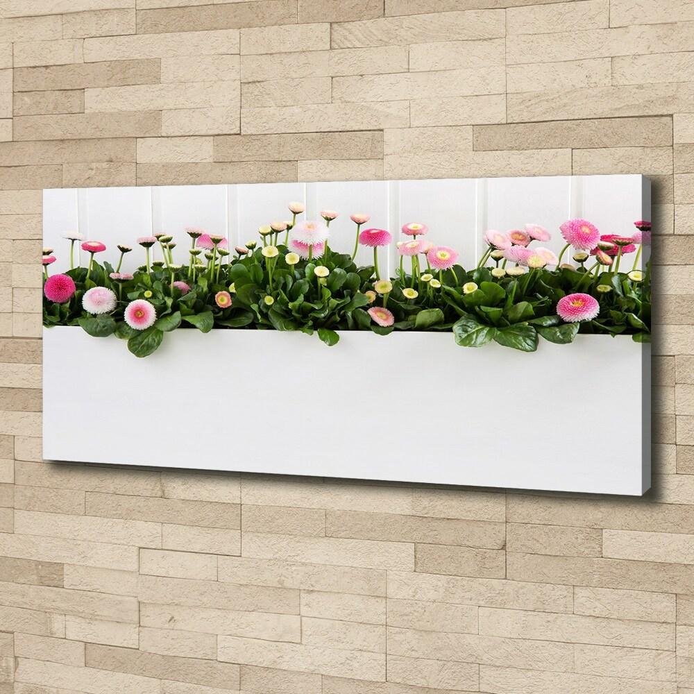 Tableau mural sur toile Marguerites roses