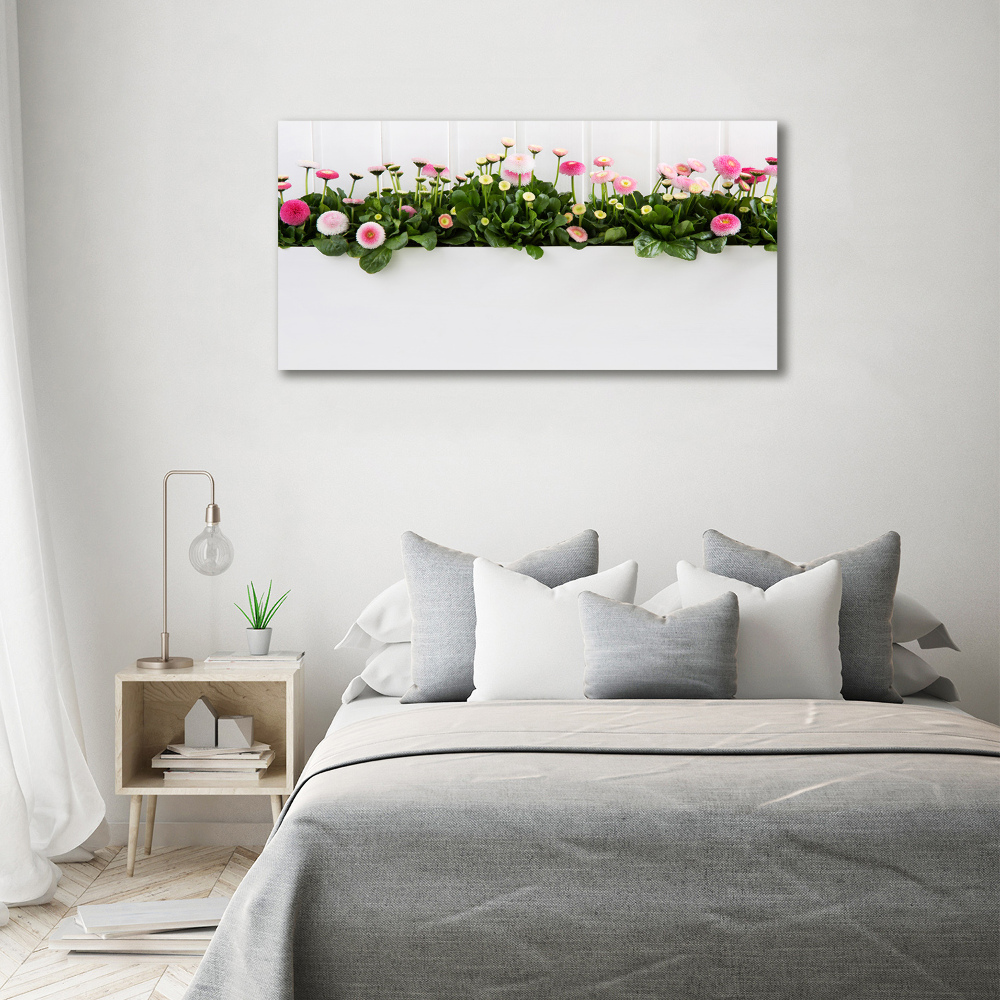 Tableau mural sur toile Marguerites roses