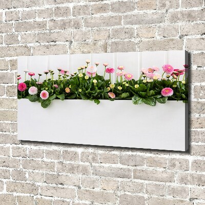 Tableau mural sur toile Marguerites roses