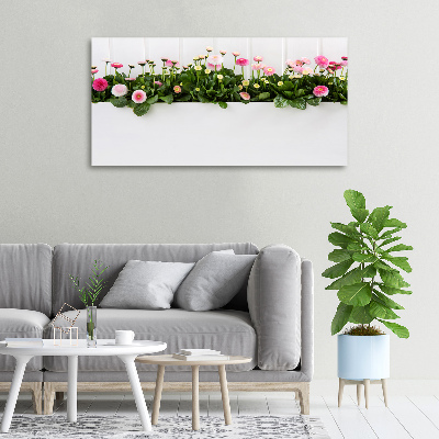 Tableau mural sur toile Marguerites roses