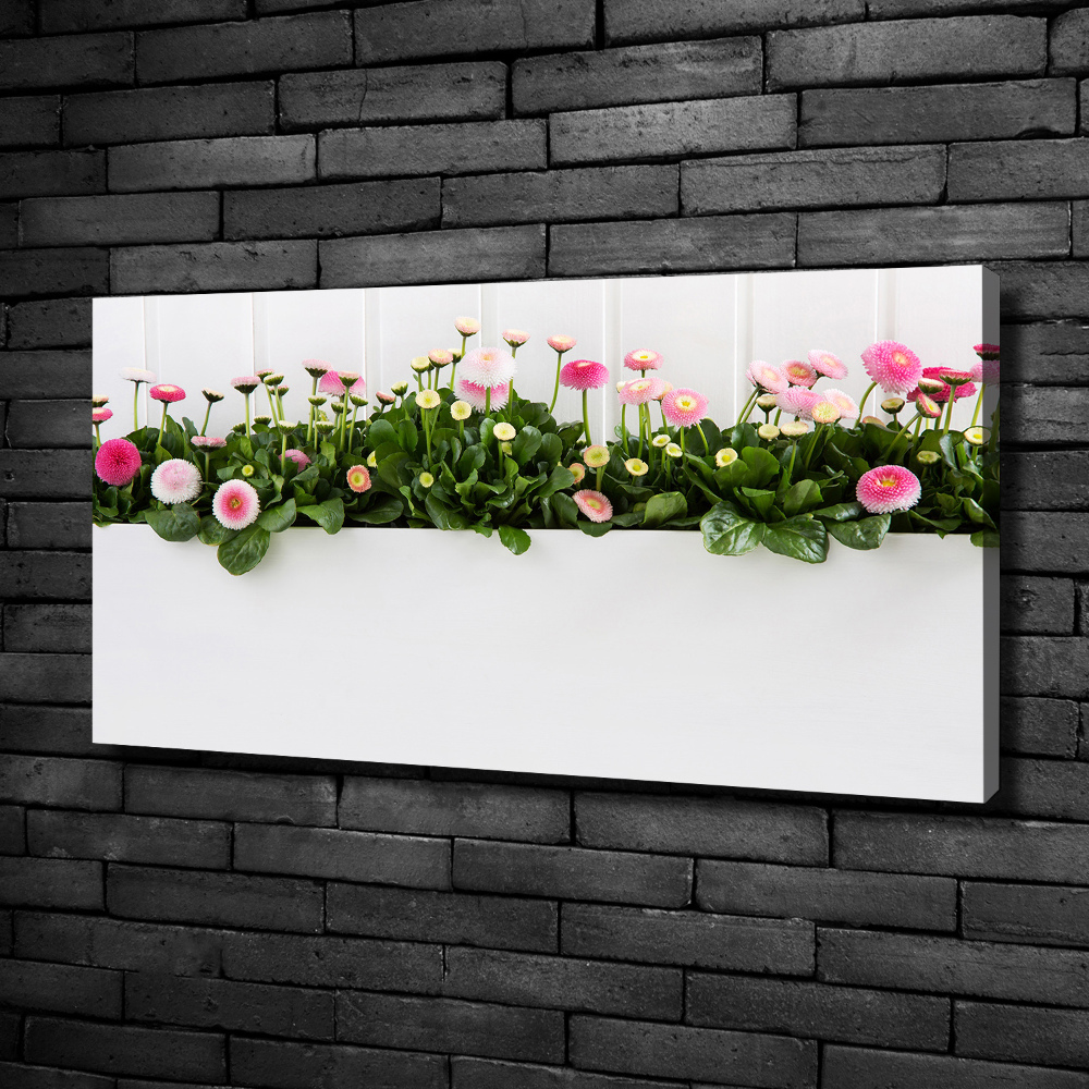 Tableau mural sur toile Marguerites roses