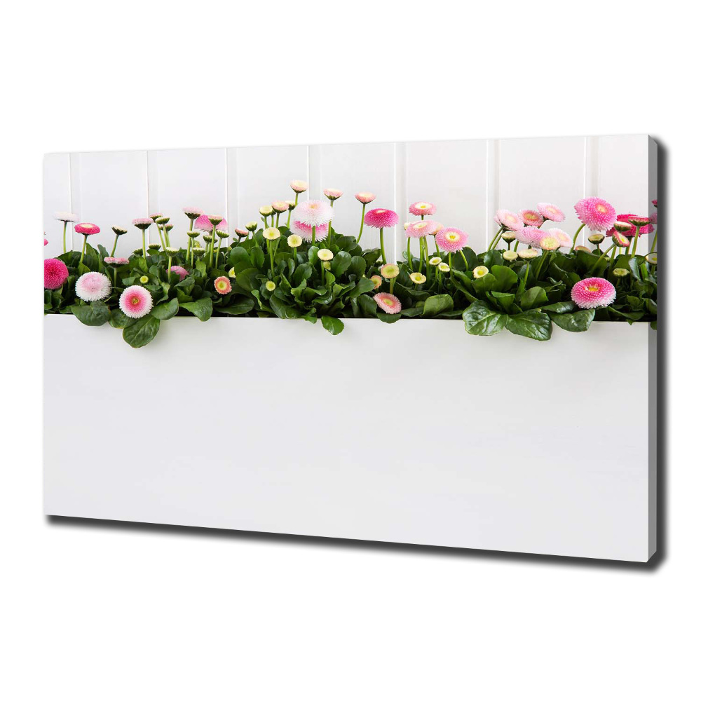 Tableau mural sur toile Marguerites roses