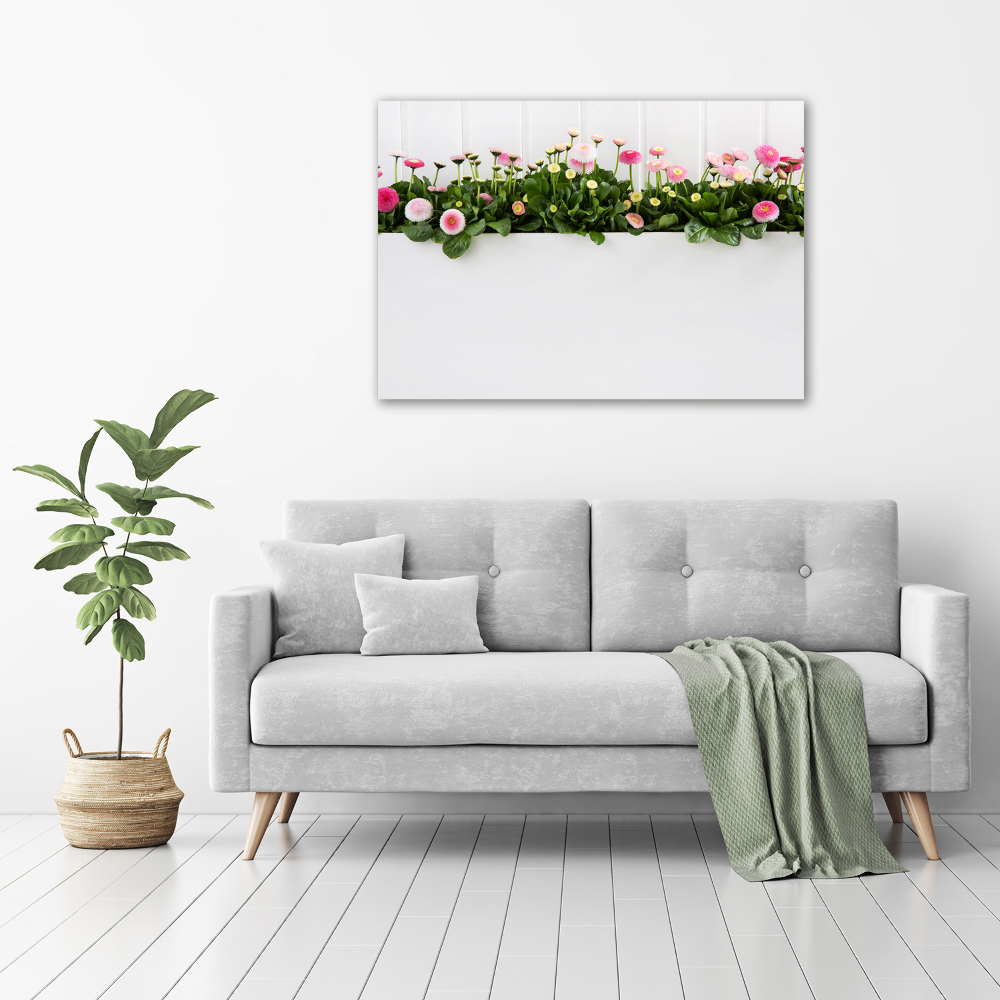 Tableau mural sur toile Marguerites roses