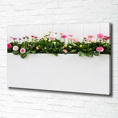 Tableau mural sur toile Marguerites roses