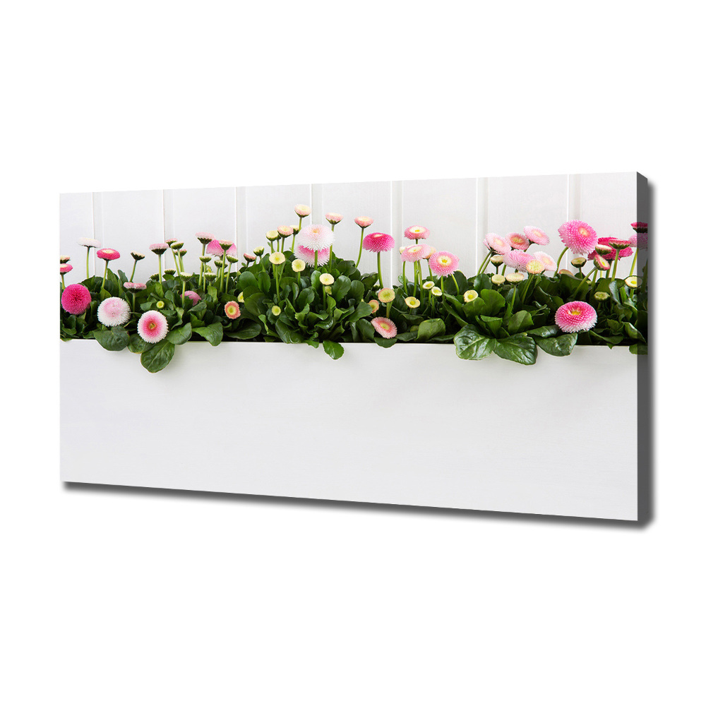 Tableau mural sur toile Marguerites roses