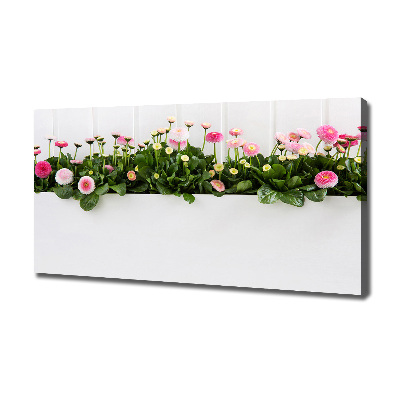 Tableau mural sur toile Marguerites roses