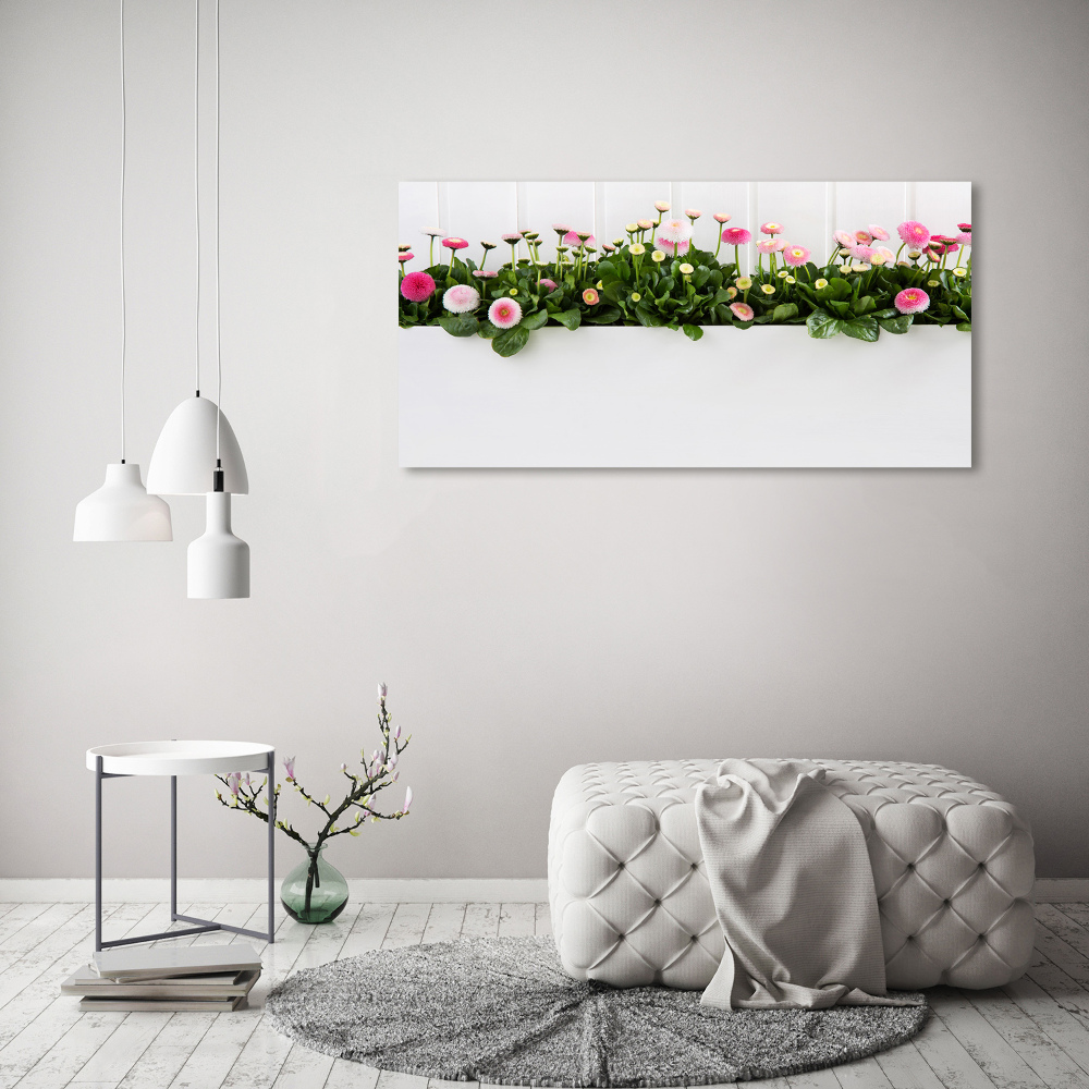 Tableau mural sur toile Marguerites roses