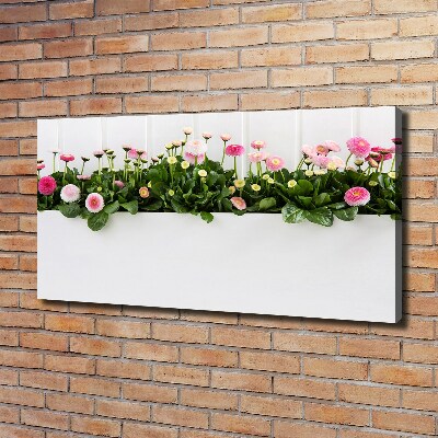 Tableau mural sur toile Marguerites roses