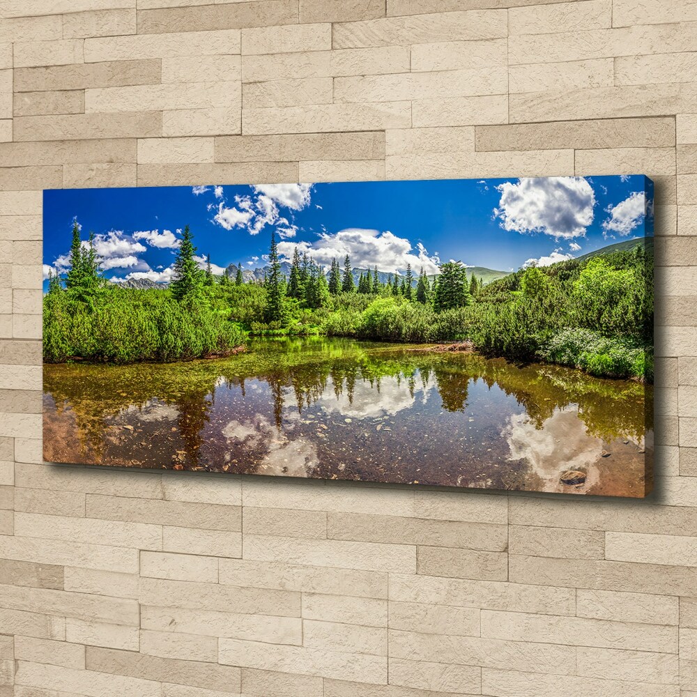 Tableau imprimé sur toile Lac dans la forêt