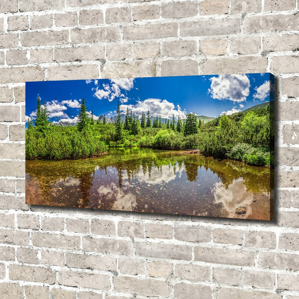 Tableau imprimé sur toile Lac dans la forêt