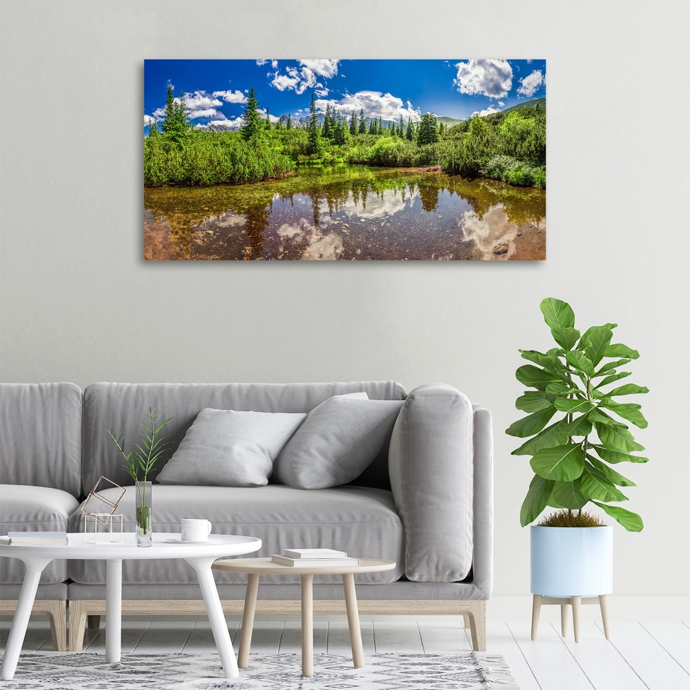 Tableau imprimé sur toile Lac dans la forêt