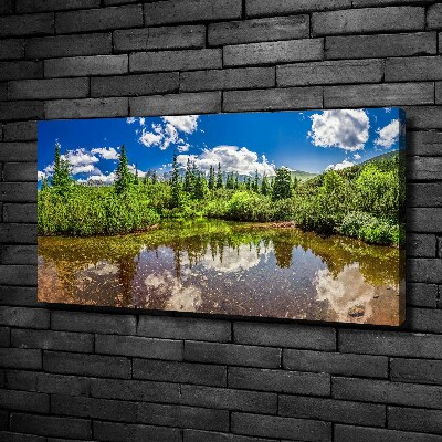 Tableau imprimé sur toile Lac dans la forêt