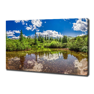 Tableau imprimé sur toile Lac dans la forêt