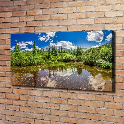 Tableau imprimé sur toile Lac dans la forêt