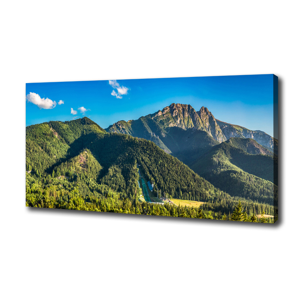 Tableau sur toile Panorama des Tatras