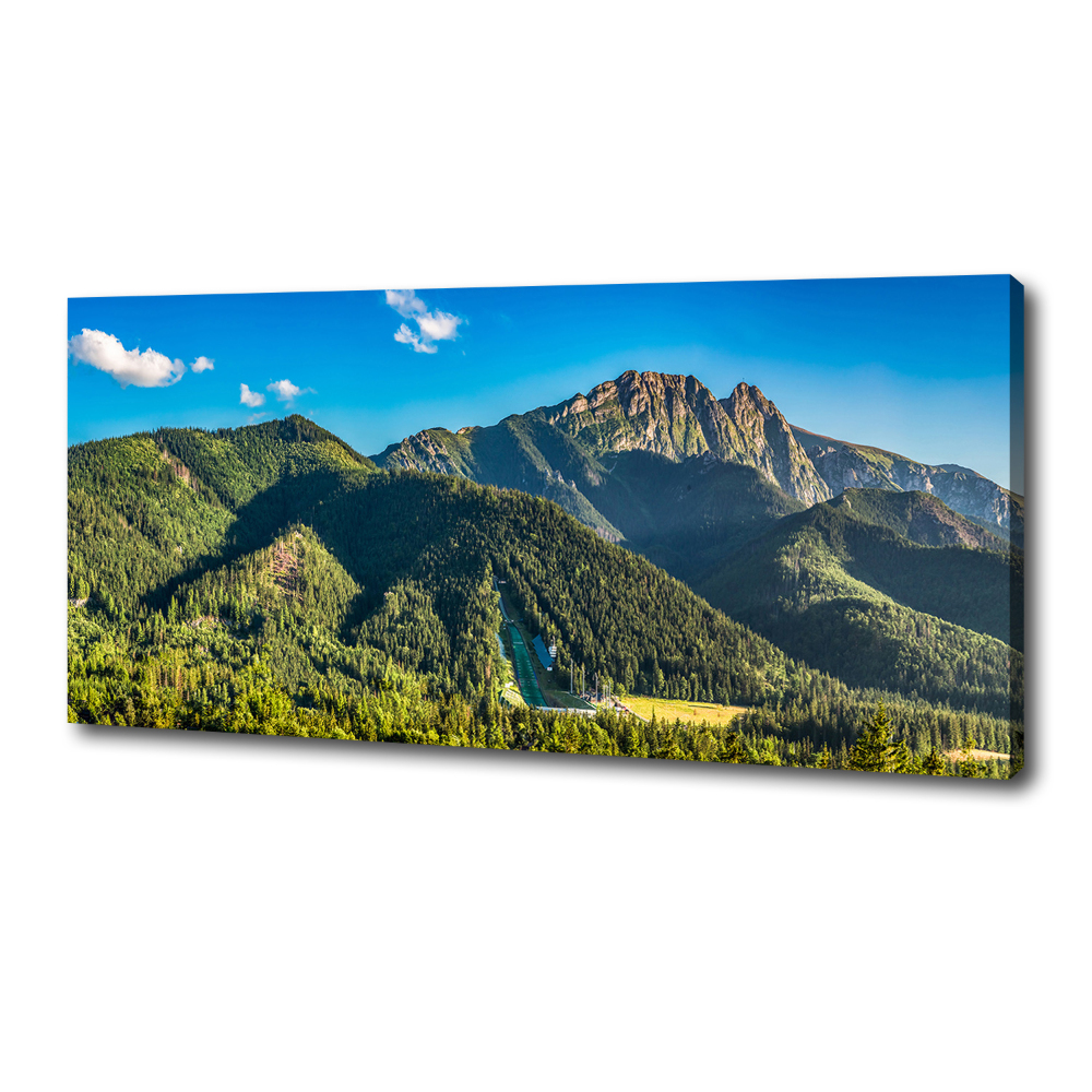 Tableau sur toile Panorama des Tatras