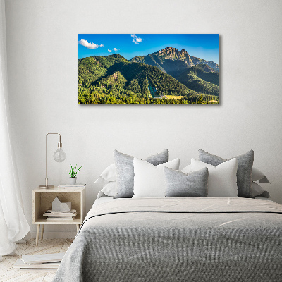 Tableau sur toile Panorama des Tatras