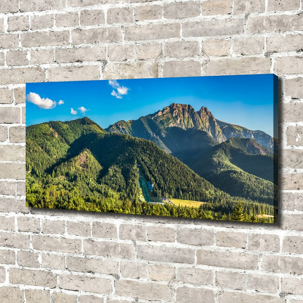 Tableau sur toile Panorama des Tatras