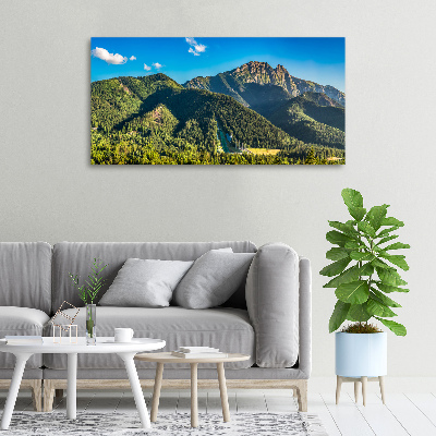 Tableau sur toile Panorama des Tatras